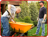 Shrub and Garden Maintenance Programs